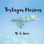 Tortugas marinas en España